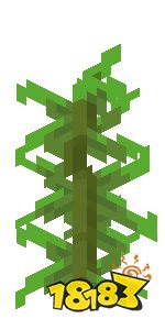 我的世界海带怎么种植 我的世界海带种植方法介绍