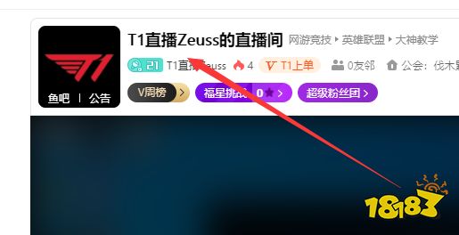 t1宙斯在哪里直播 lol宙斯在哪直播