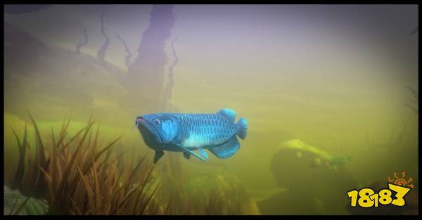 海底大猎杀多少钱 海底大猎杀最低价格介绍