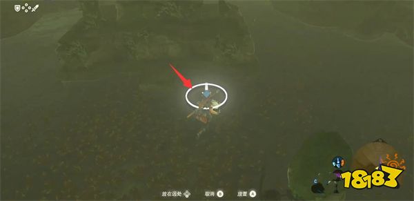塞爾達傳說：荒野之息達姆澤爾樹海隱藏神廟四個石頭放哪里