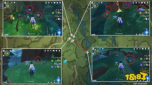 原神草神瞳共鸣石合成材料收集一览 草神瞳共鸣石有哪些材料