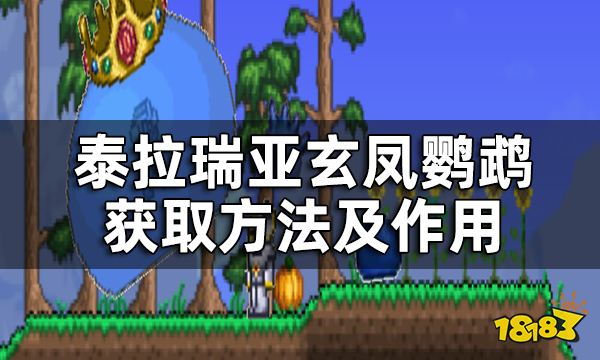 泰拉瑞亚玄凤鹦鹉怎么获得 玄凤鹦鹉有什么用