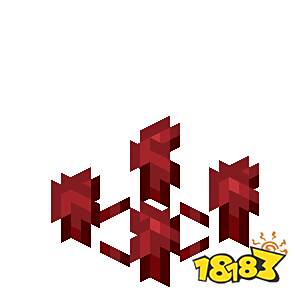 我的世界下界疣怎么加快生长 我的世界下界疣快速生长方法介绍