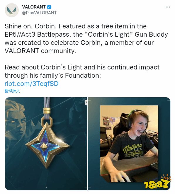 拳头为纪念癌症去世玩家 推出其设计的《瓦罗兰特》配件