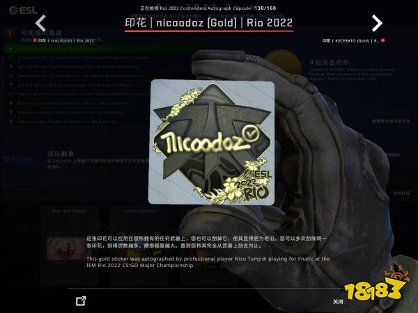 CSGO里约Major竞争组选手贴纸鉴赏 里约Major竞争组印花一览