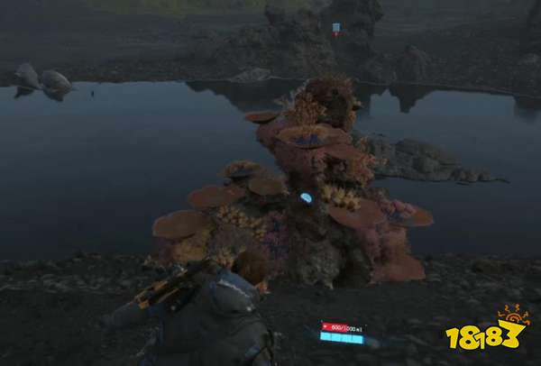 死亡搁浅订单65消灭希格斯任务怎么做 消灭希格斯任务流程攻略