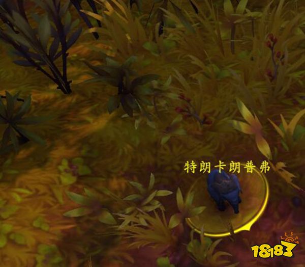 魔獸世界橡子收割者怎么獲得 10.0橡子收割者獲取方法