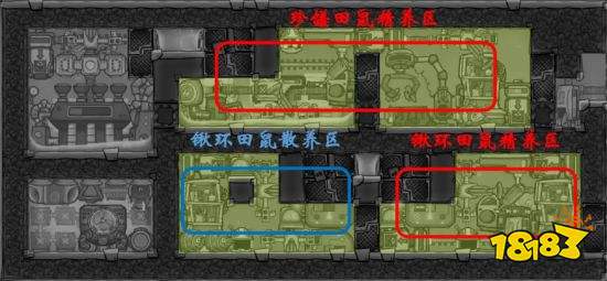 缺氧田鼠养殖模块怎么布局 田鼠养殖模块布局参考
