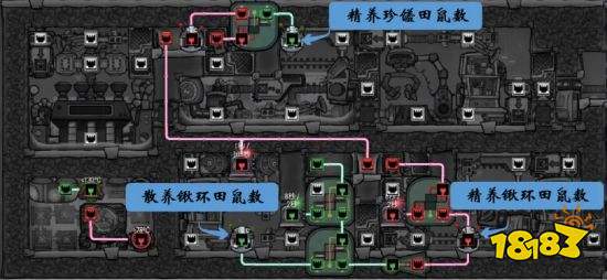 缺氧田鼠养殖模块怎么布局 田鼠养殖模块布局参考