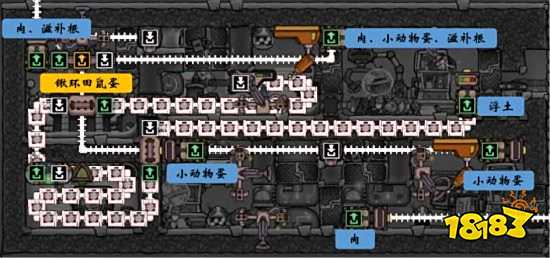 缺氧田鼠养殖模块怎么布局 田鼠养殖模块布局参考