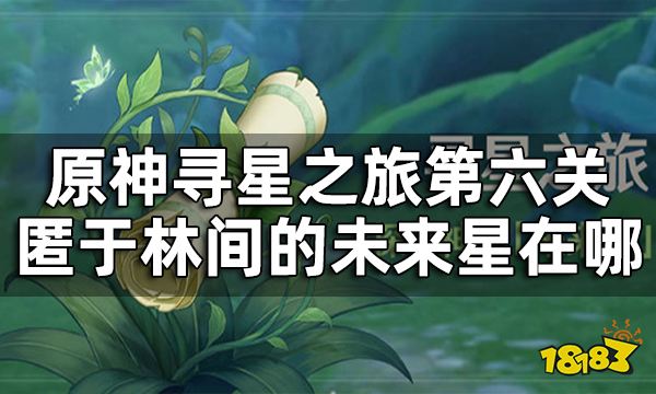 原神寻星之旅匿于林间的未来星在哪 寻星之旅第六关攻略