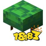 我的世界海龟壳怎么获得 我的世界海龟壳获得方法介绍