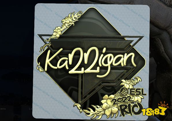 巴西CSer質疑karrigan貼紙用意 K神無奈解釋