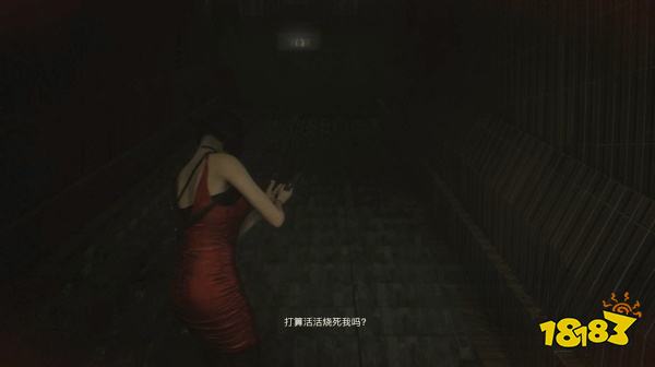 生化2怎么通過表關焚化爐 焚化爐攻略教程