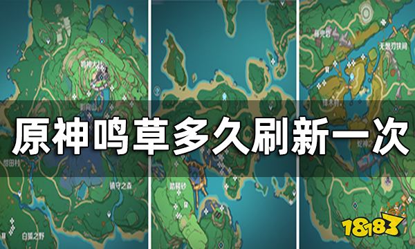 原神鸣草多久刷新一次 鸣草刷新时间介绍