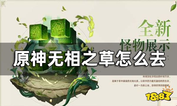 原神无相之草怎么去 无相之草抵达方法教程