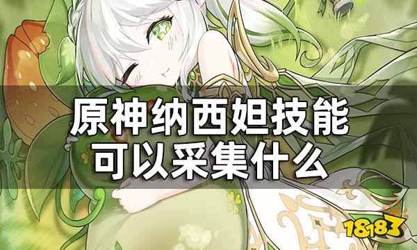 原神纳西妲技能可以采集什么 纳西妲技能采集物品一览