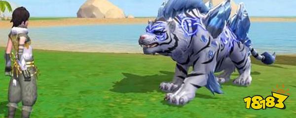 创造与魔法紫火芝怎么获得