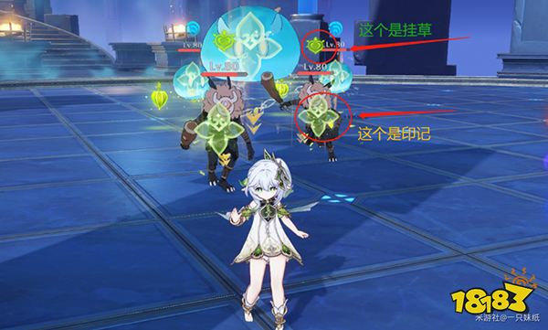 原神零命无专武纳西妲怎么配队 纳西妲平民党养成攻略