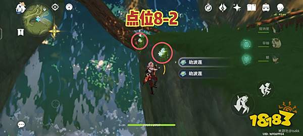 原神劫波莲怎么快速获得 劫波莲速刷路线一览