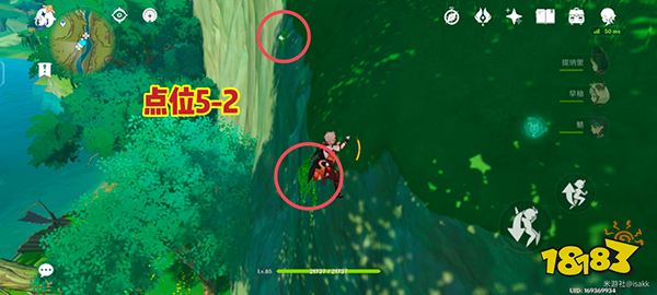 原神劫波莲怎么快速获得 劫波莲速刷路线一览