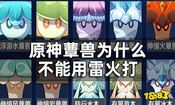 原神蕈兽为什么不能用雷火打 草神材料蕈兽孢子获得攻略