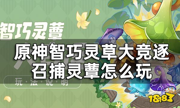 原神召捕灵蕈怎么玩 召捕灵蕈活动介绍