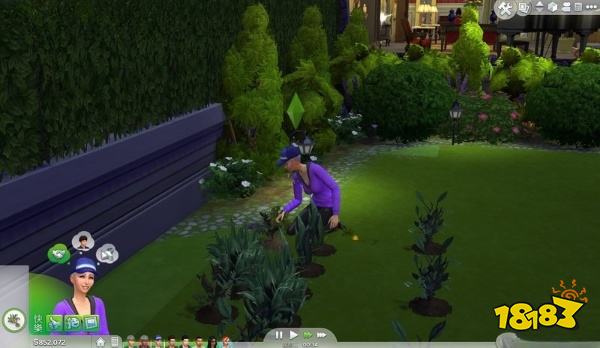 模拟人生4DLC死亡花说明 DLC死亡花详情一览