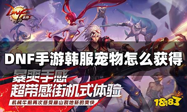 DNF手游韩服宠物怎么获得 宠物获得方法