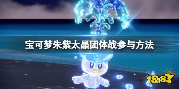 宝可梦朱紫太晶团体战怎么参加 宝可梦朱紫参加太晶团体战方法