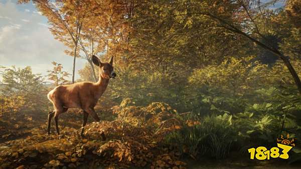 猎人荒野的召唤硬弹和软弹有什么区别 硬弹和软弹区别介绍