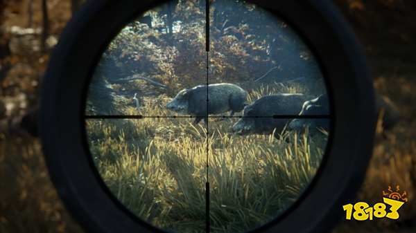 猎人荒野的召唤动物粪便有什么用 动物粪便作用介绍