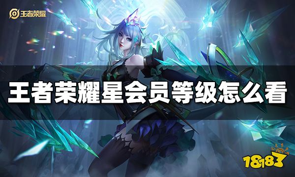王者荣耀星会员等级在哪里看 星会员等级怎么看
