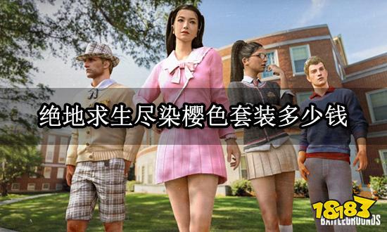 绝地求生尽染樱色套装多少钱 套装购买平台推荐