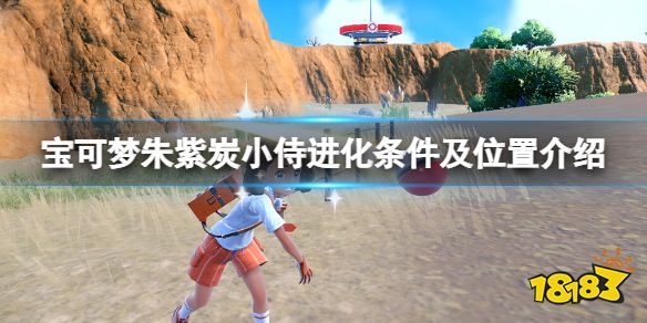 宝可梦朱紫炭小侍在哪 宝可梦朱紫炭小侍进化条件及位置介绍