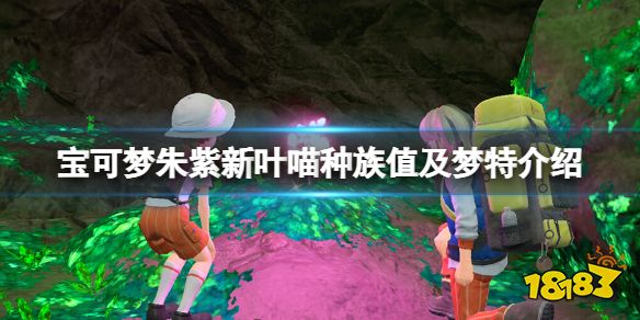 宝可梦朱紫新叶喵性格有哪些 宝可梦朱紫新叶喵种族值及梦特介绍