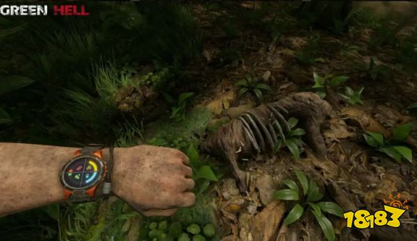 丛林地狱哪些东西可以种 可种植作物一览