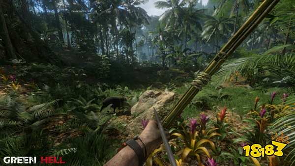 丛林地狱铁矿在哪挖 铁矿获取地点一览