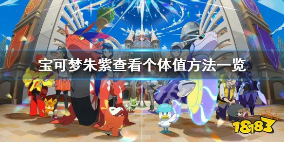 宝可梦朱紫怎么看个体值 宝可梦朱紫查看个体值方法一览