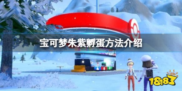 宝可梦朱紫孵蛋机制介绍 宝可梦朱紫孵蛋步骤