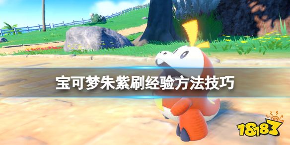 宝可梦朱紫怎么刷经验 宝可梦朱紫刷经验方法技巧
