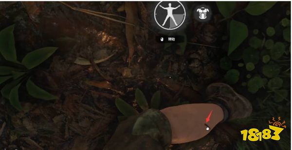 丛林地狱蚂蟥怎么去掉 蚂蟥去除方法介绍