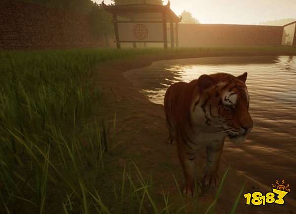 动物园之星怎么旋转视角 旋转视角方法介绍