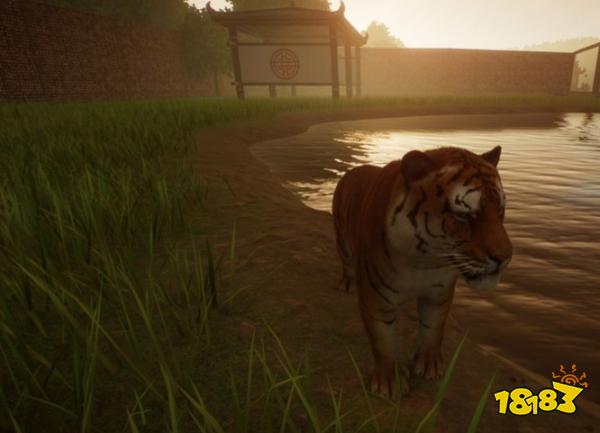 动物园之星前期养什么动物赚钱 前期赚钱方法推荐