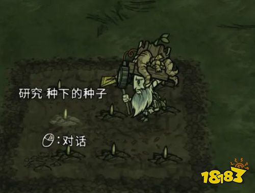 饥荒怎么种巨大作物