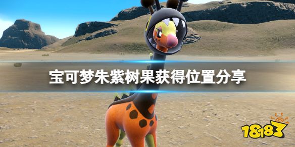 宝可梦朱紫树果怎么获得 宝可梦朱紫树果获得位置分享