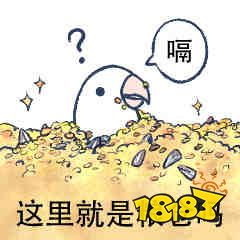 我宣布“矿工大赛”是今年最佳综艺节目