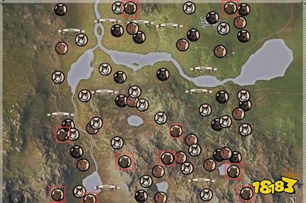 中世纪王朝熊的位置在哪 熊刷新位置一览