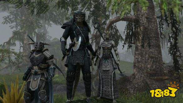 上古卷轴ol高岛主线任务进口的人 高岛dlc进口的人图文流程攻略