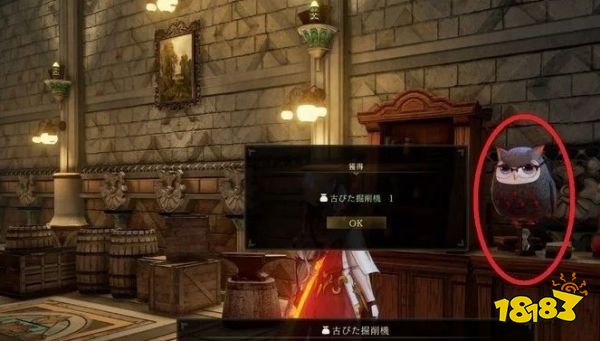 破曉傳說特殊貓頭鷹在哪 特殊貓頭鷹位置介紹